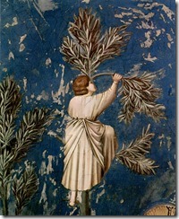 Giotto_di_Bondone_013