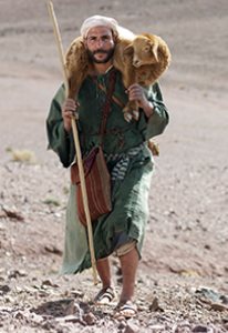shepherd with sheep